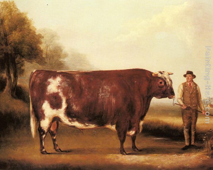 A Dark Roan Bull painting - William Davis A Dark Roan Bull art painting